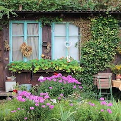 Prepara tu jardín con las Ofertas de Primavera de Amazon