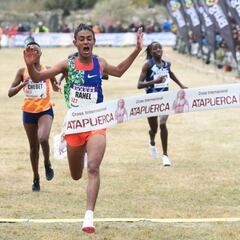 Exhibición eritrea en Atapuerca