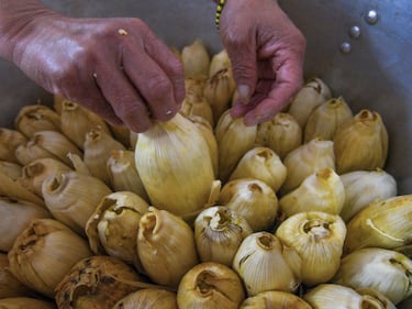 ¿Por qué se comen tamales el Día de la Candelaria en México?
