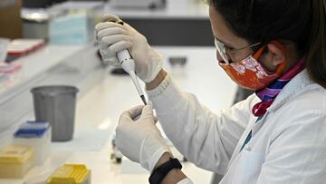 Coronavirus en Argentina: resumen, casos y muertes del 2 de noviembre
