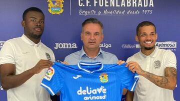 Presentación de Gozzi y Anderson
