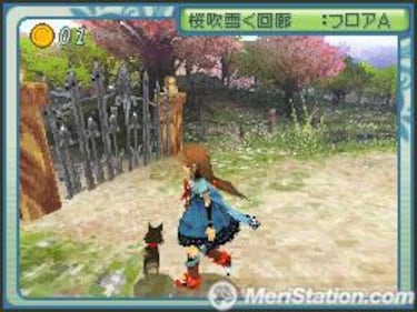 Riz Zoawd, Impresiones