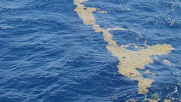 Ni el Mediterráneo ni el Arábigo: este es el único mar en el planeta que no toca ninguna tierra emergida