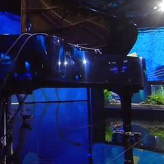 Hamilton despeja dudas: 2018 no será su último año en Mercedes