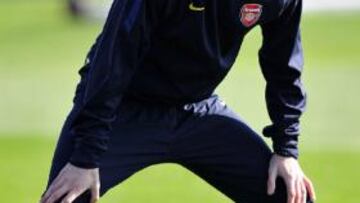 Wenger espera que Cesc Fábregas juegue el sábado