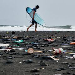 Corona x Parley busca voluntarios para participar en Parley Ocean School