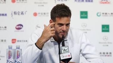 Del Potro se clasifica para el Masters de Londres