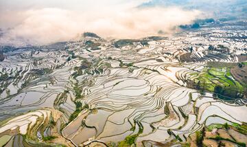 Duoyishu te enamorar por la belleza de sus terrazas de arroz las cuales tienen alrededor de 1200 a?os de historia. Un lugar ideal para fotografiar e inmortalizar tu viaje a gigante asitico.