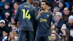 Resumen del Brighton vs Everton, jornada 23 de la Premier League 24-25