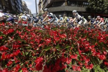 El pelotón durante la decimoquinta etapa de la Vuelta Ciclista a España.