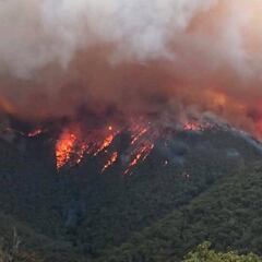 Kyrgios y De Miñaur se vuelcan con los incendios de Australia
