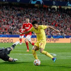 Dirk Kuyt: “Estoy celoso de los pulmones de Luis Díaz”