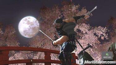 Ninja Gaiden II, Impresiones