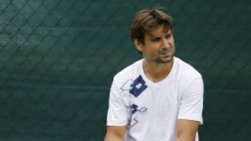 Ferrer: "El mejor tenista de la historia es Roger Federer"