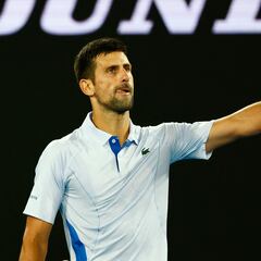 Djokovic resiste el derribo