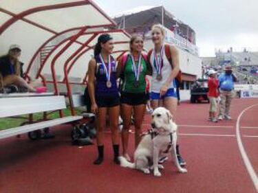 El genio Miguel Ángel, la chica ciega y los rusos ¿sospechosos?