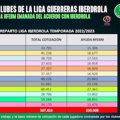 La Federación destina un cuarto de millón a la Liga Iberdrola