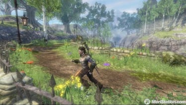 Detectados diversos problemas en Fable 2