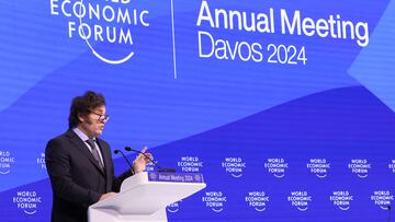 Argentina's President Javier Milei speaks, during the 54th annual meeting of the World Economic Forum (WEF), in Davos, Switzerland, January 17, 2024. REUTERS/Denis Balibouse