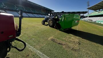 Césped de El Arcángel