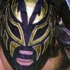 Fallece a los 60 años el luchador Plata