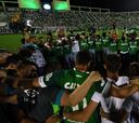 De la tragedia a renacer: 365 días de Chapecoense