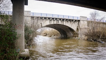 El río Guadarrama a su paso por el poblado de Las Sabinas, en Móstoles, donde ha obligado a la evacuación de 242 vecinos, a 10 de marzo de 2025, en Madrid (España). El Ayuntamiento de Móstoles mantiene activo su Plan de Emergencias Inundamost con carácter preventivo para seguir monitorizando la situación y garantizar la seguridad de la población ante la previsión de lluvia y tras los episodios de intensas precipitaciones experimentados en los últimos días y que han generado desbordamientos en el río Guadarrama.
10 MARZO 2025
A. Pérez Meca / Europa Press
10/03/2025