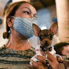 Pico y cédula hoy, miércoles 31 de marzo, en Medellín, Bucaramanga y Cali: restricciones y números