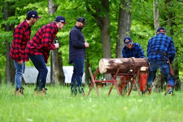 Daniil Kvyat y Alexander Albon pilotos de la Scuderia Toro Rosso talando un tronco.