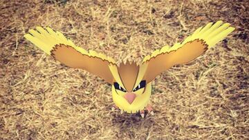 Adios a las pokeparadas con la Ley Pidgey