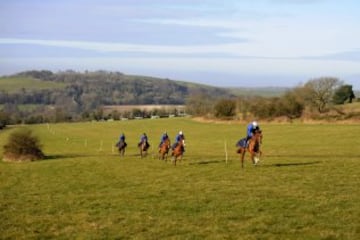 El paraíso de los caballos