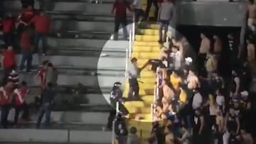 En video, las agresiones de aficionados de Tigres a policías