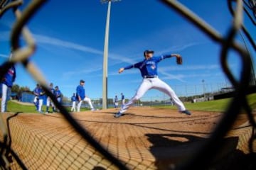 Aunque le rodeaban no pocos interrogantes sobre su paso del bullpen a la rotación, el diestro se convirtió en el que lideró la Liga Americana en ERA con un 3.00 y obtuvo 15 victorias, postulándose como el as de los canadienses.