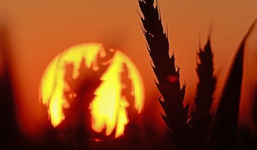El día más largo del 2025 sucederá en México en esta fecha de junio por la llegada del Solsticio de Verano