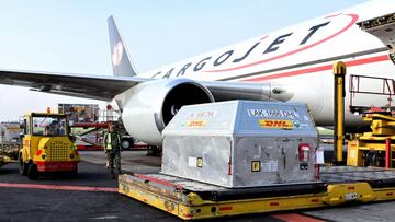 Llegan a México 585 mil vacunas Pfizer