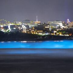 ¿A qué responde el fenómeno de las 'olas brillantes' que se está viendo estos días?