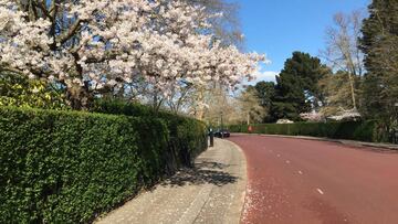 Royal Park de Londres.