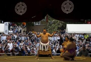 Yokozuna Hakuho.