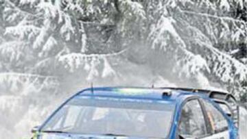 <b>EL MEJOR. </b>A Gronholm se le da de maravilla la nieve de Suecia.