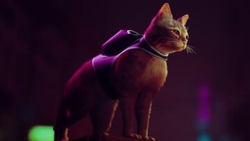 Stray, el indie protagonizado por un gato, llegará este verano a PS4, PS5 y PC