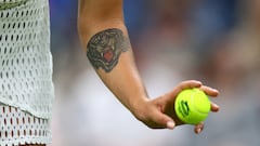 With the 2023 Wimbledon Championships in full swing, we can assume tens of thousands of balls have been used at the All England Club, but how many?