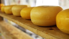 The cheese that can strengthen your bones and lower cholesterol— and you can eat it every day