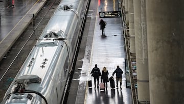 Trenes en los andenes durante la primera jornada de la huelga ferroviaria, en la estación de tren Madrid-Puerta de Atocha-Almudena Grandes, a 9 de febrero de 2026, en Madrid (España). La huelga de tres días convocada por todos los sindicatos ferroviarios del país comienza hoy en Renfe, Iryo y Ouigo, con 350 servicios de alta velocidad cancelados, y en el conjunto de empresas que operan los trenes de mercancías, cuyos servicios mínimos se limitan al 21%.
09 FEBRERO 2026
Jesús Hellín / Europa Press
09/02/2026