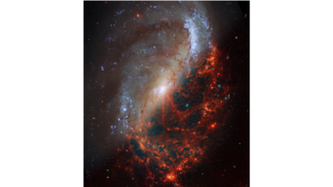 El Telescopio Espacial James Webb muestra nuevas imágenes de 19 galaxias diferentes