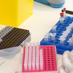 Grupos sanguíneos: cuántos hay, qué riesgo tienen y cómo saber cuál tengo