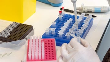 Grupos sanguíneos: cuántos hay, qué riesgo tienen y cómo saber cuál tengo