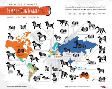Los nombres de perro más populares en cada país