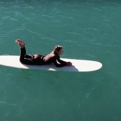 Tyler Wright: “Es alarmante la de hombres que atacan a mujeres en el surf”