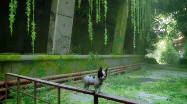 Los mejores mods de Stray: Garfield, CJ, editor de gatos, cambio de animal, gritos perturbadores...