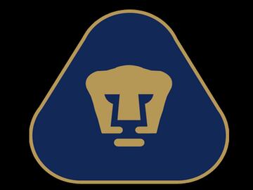 Manuel Andrade Rodríguez, creó hace 43 años el mundialmente conocido Puma, una imagen simplificada con la U de la Universidad, la mascota y que representa el puño levantado durante el himno de la máxima casa de estudios de México. Sus colores, azul y oro, adornan cada rincón de la institución.